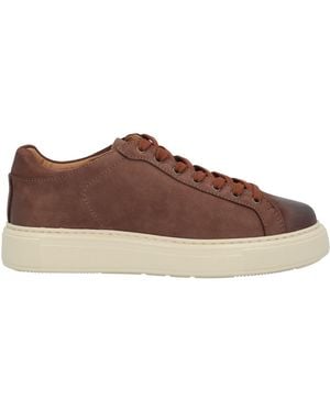 Roberto Botticelli Sneakers - Marrón