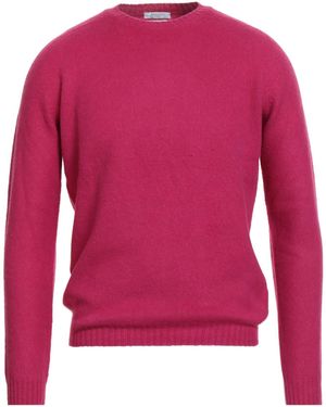 Boglioli Sweater - Pink