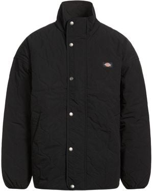 Dickies Pufferjacke & Daunenjacke - Schwarz