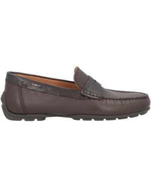 Geox Loafer - Grey