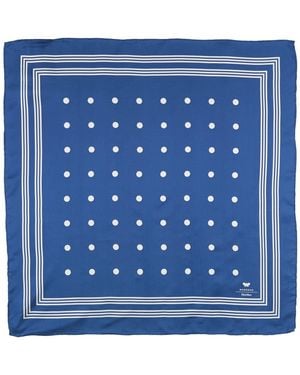 Weekend by Maxmara Scarves - Blue