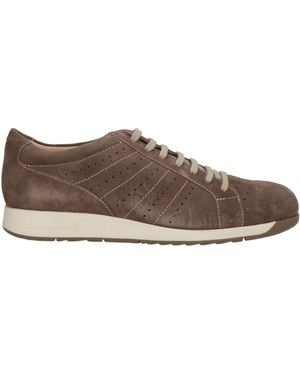 Stonefly Taupe Sneakers Leather - Brown