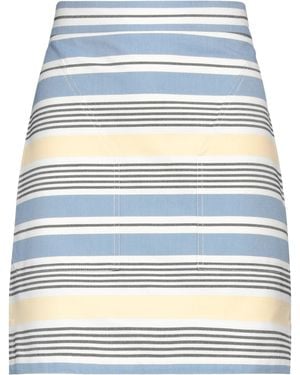 Max Mara Mini Skirts - Blue