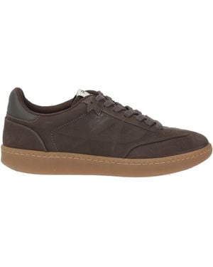 Ash Sneakers Leather - Brown