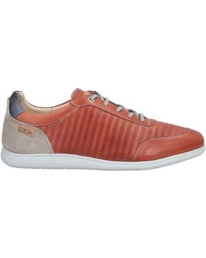 Pikolinos Trainers - Brown