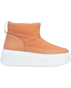 Ash Ankle Boots - Brown