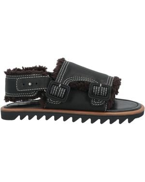 AURALEE Sandals and Slides for Men | Online Sale up to 61