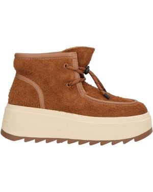 Ash Bottines - Marron