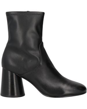 Ash Ankle Boots - Black