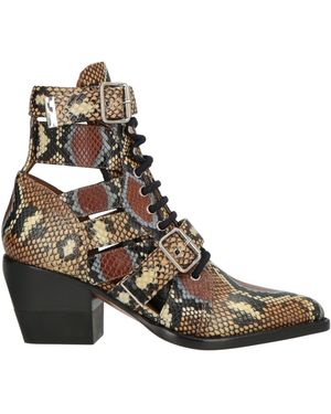 Chloé Camel Ankle Boots Calfskin - Brown