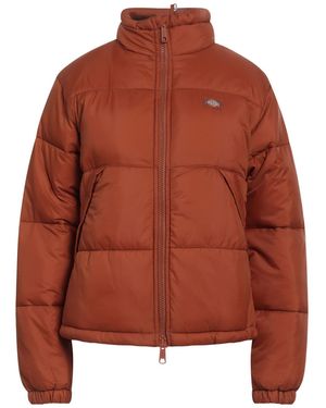 Dickies Puffer - Brown
