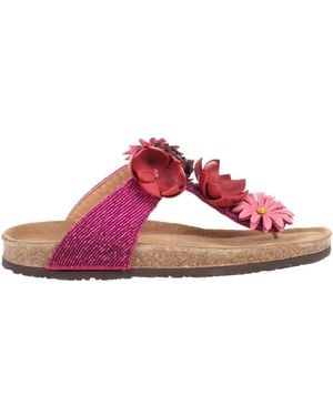 Maliparmi Thong Sandal - Pink