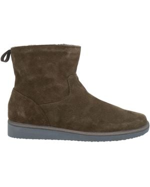 Pànchic Stiefelette - Braun