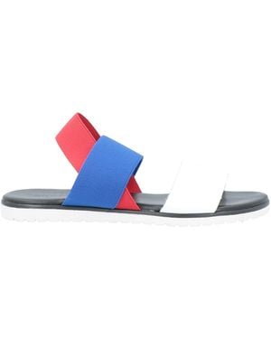 Studio Pollini Sandals - White