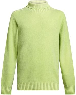 AROVESCIO Rollkragenpullover - Grün