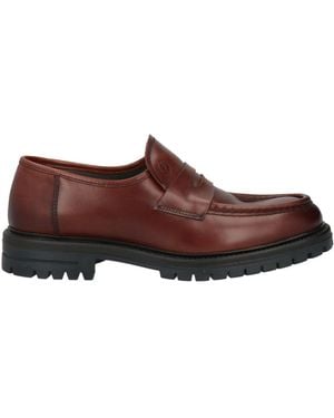 Pollini Loafer - Brown