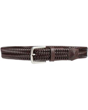 Hackett Belt - Brown