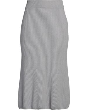 Fedeli Midi Skirt - Grey