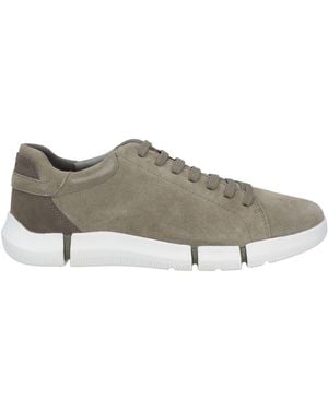 Geox Sneakers Leather - Gray