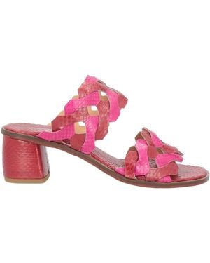 Maliparmi Sandales - Rose