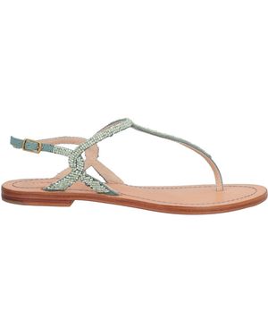 Maliparmi Thong Sandals - Green