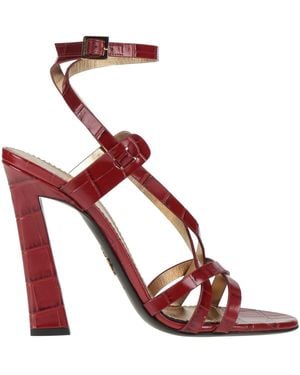 DSquared² Sandals Calfskin - Pink