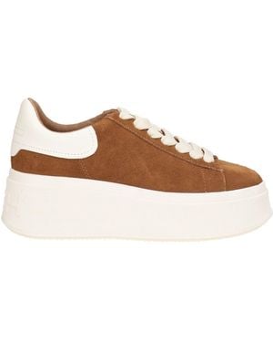 Ash Camel Sneakers Leather - Brown