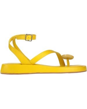 GIA RHW Thong Sandal Leather - Yellow