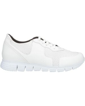 Pollini Trainers Leather - White