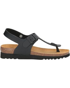 Scholl Sandals - Black