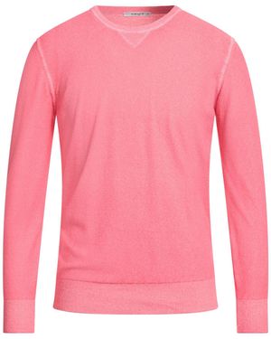 Kangra Sweaters - Pink