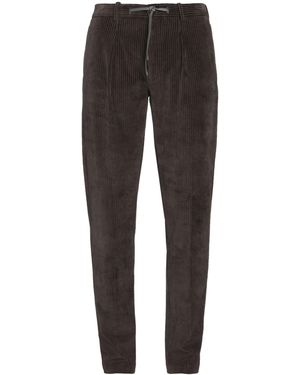 Circolo 1901 Pantalone - Grigio