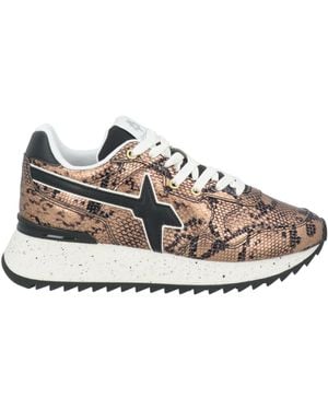 W6yz Trainers - Multicolour