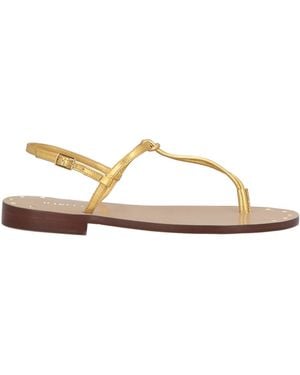MARIA LUCA Thong Sandal - Natural