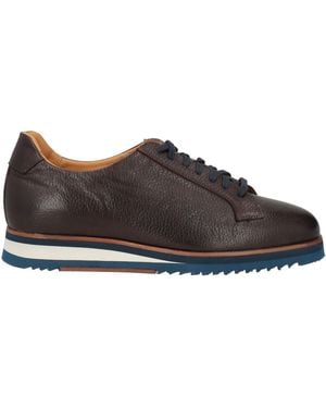 Sutor Mantellassi Sneakers - Brown