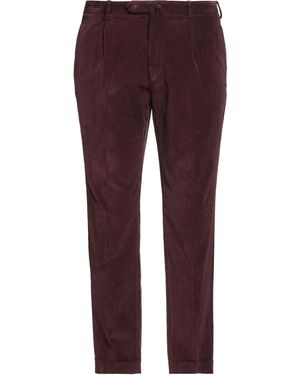 Santaniello Hose - Lila