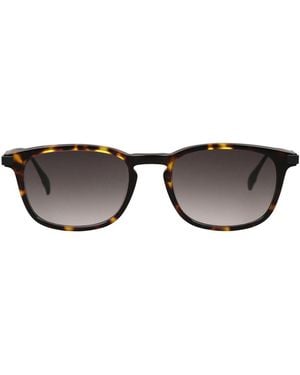 Safilo Sunglasses - Brown