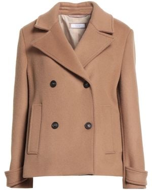 Peserico Coat Wool, Polyamide - Brown
