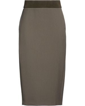 Peserico Midi Skirt Polyester, Viscose, Cotton, Elastane - Grey