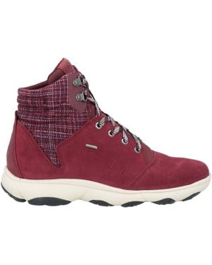 Geox Sneakers - Morado