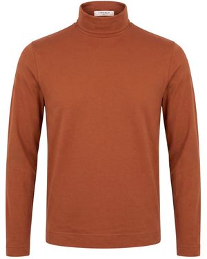 Circolo 1901 T-Shirt Cotton, Elastane - Brown