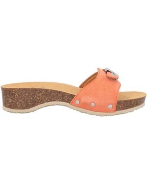 Scholl Mules & Clogs - Pink
