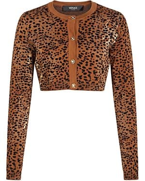 Versace Cardigan Cotton, Wool, Viscose, Polyamide, Elastane - Brown