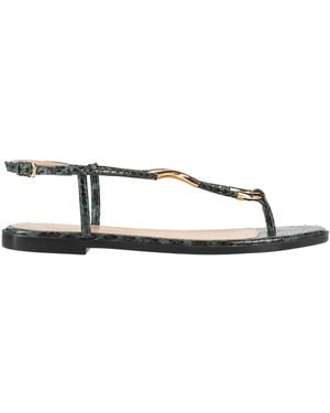 Sergio Rossi Thong Sandal - Green