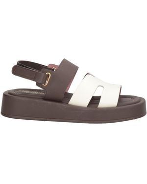 Lorenzo Mari Sandals - Brown