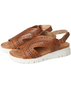 David Tate Moda Sandals 11 W (D) Leather - Brown