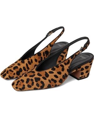 Franco Sarto A-Sutton 2 Shoes, Leather - Brown