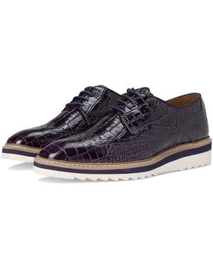 Stacy Adams Alario Wingtip Oxford Shoes, Leather - Blue