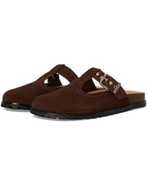 Steve Madden Atticus Shoes - Brown