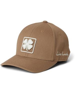 Black Clover Boxed - Brown